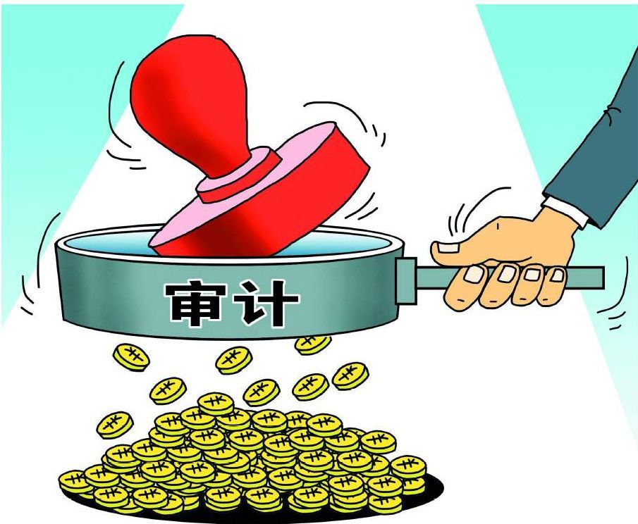 審計(jì),的,本質(zhì),是什么,審計(jì),的,本質(zhì),是什么,。,